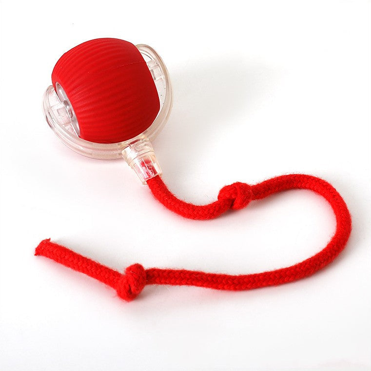 ChaseBall™ - De interactieve speelbal