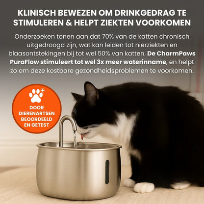 PawlyPets® Purefilter - Premium RVS Drinkfontein