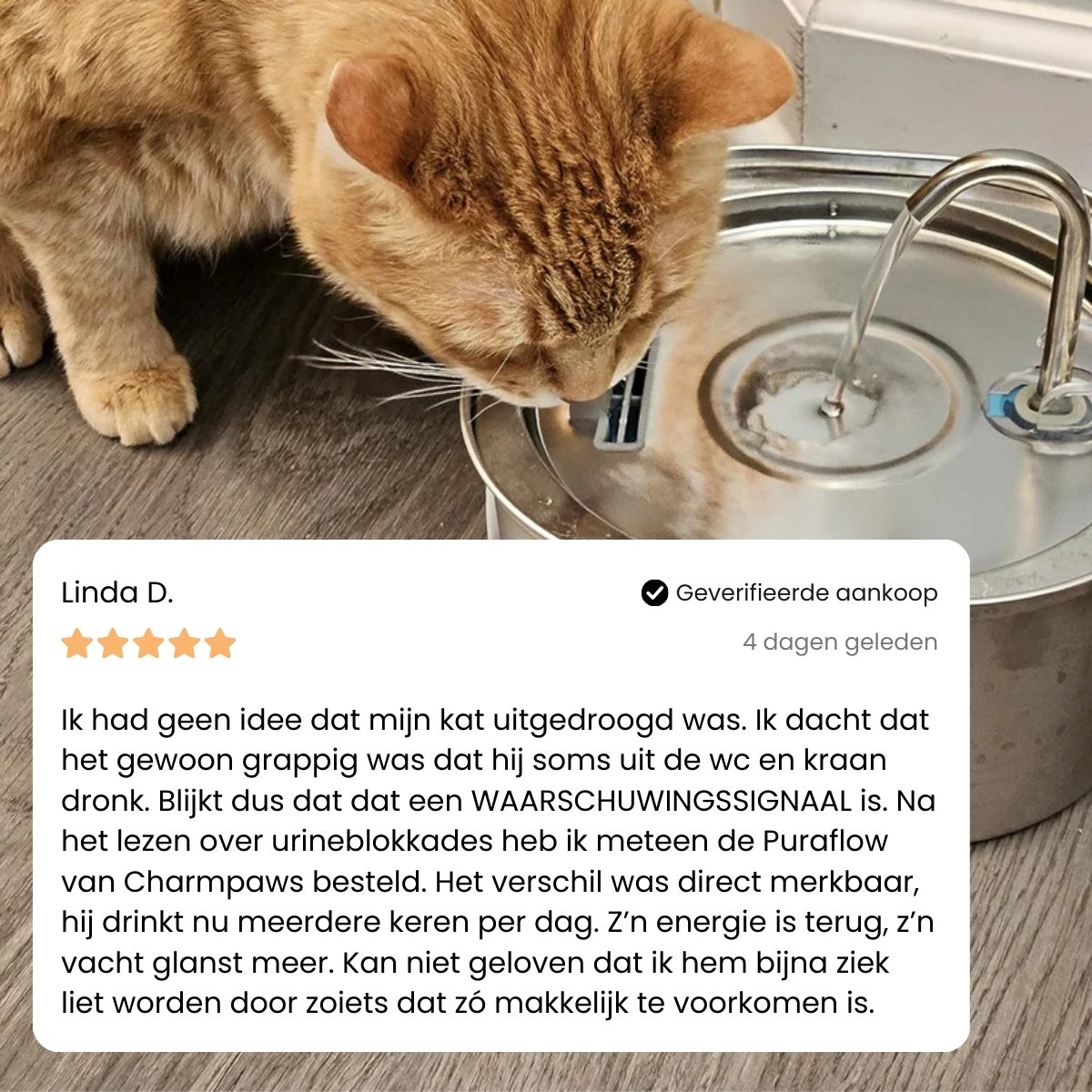 PawlyPets® Purefilter - Premium RVS Drinkfontein