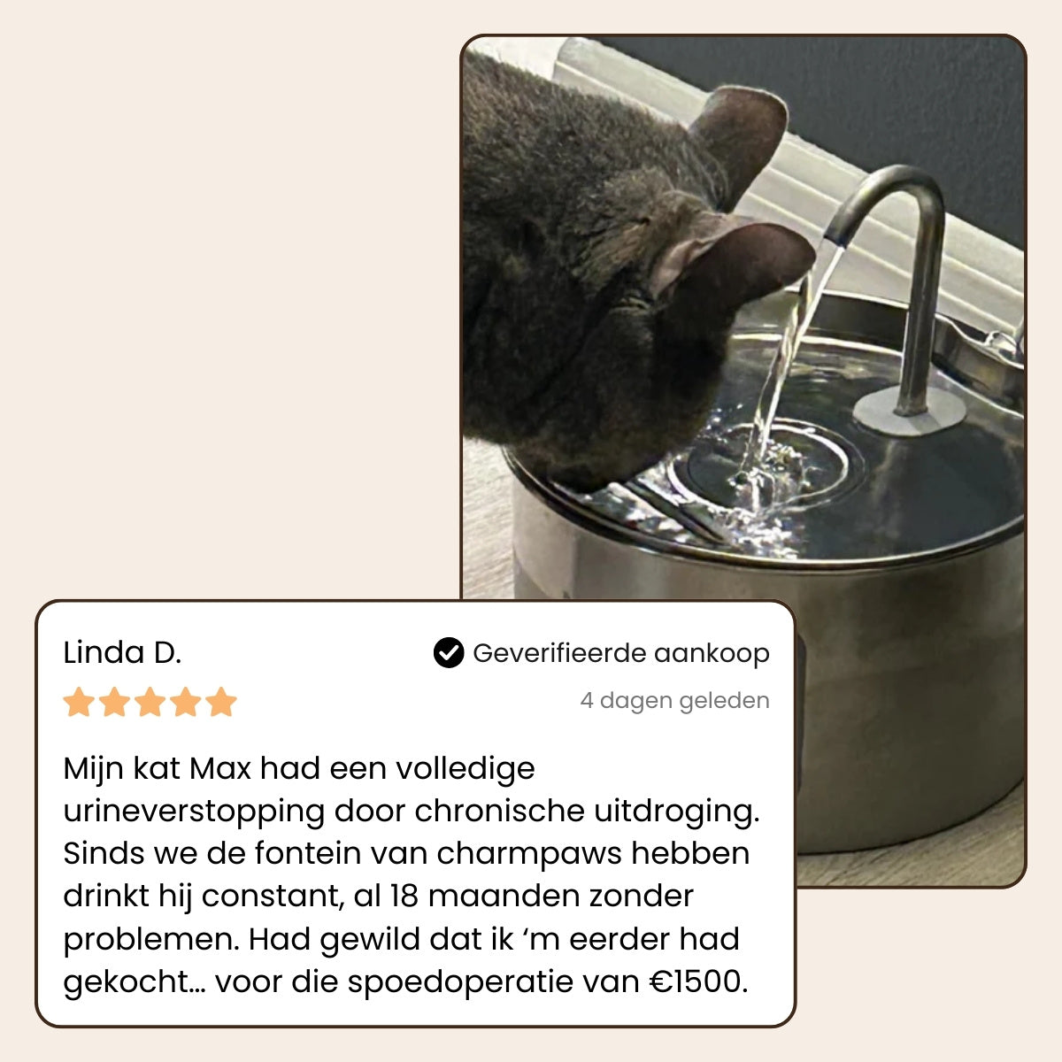 PawlyPets® Purefilter - Premium RVS Drinkfontein
