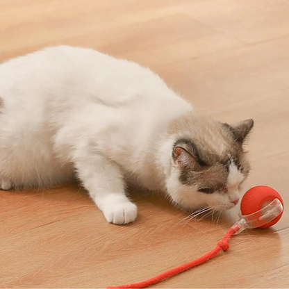 ChaseBall™ - De interactieve speelbal