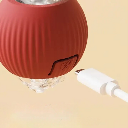 ChaseBall™ - De interactieve speelbal